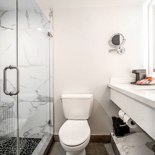 A modern bathroom with a glass-enclosed shower, a toilet, and a vanity with a large mirror and toiletries under a bright light ending the sentence.